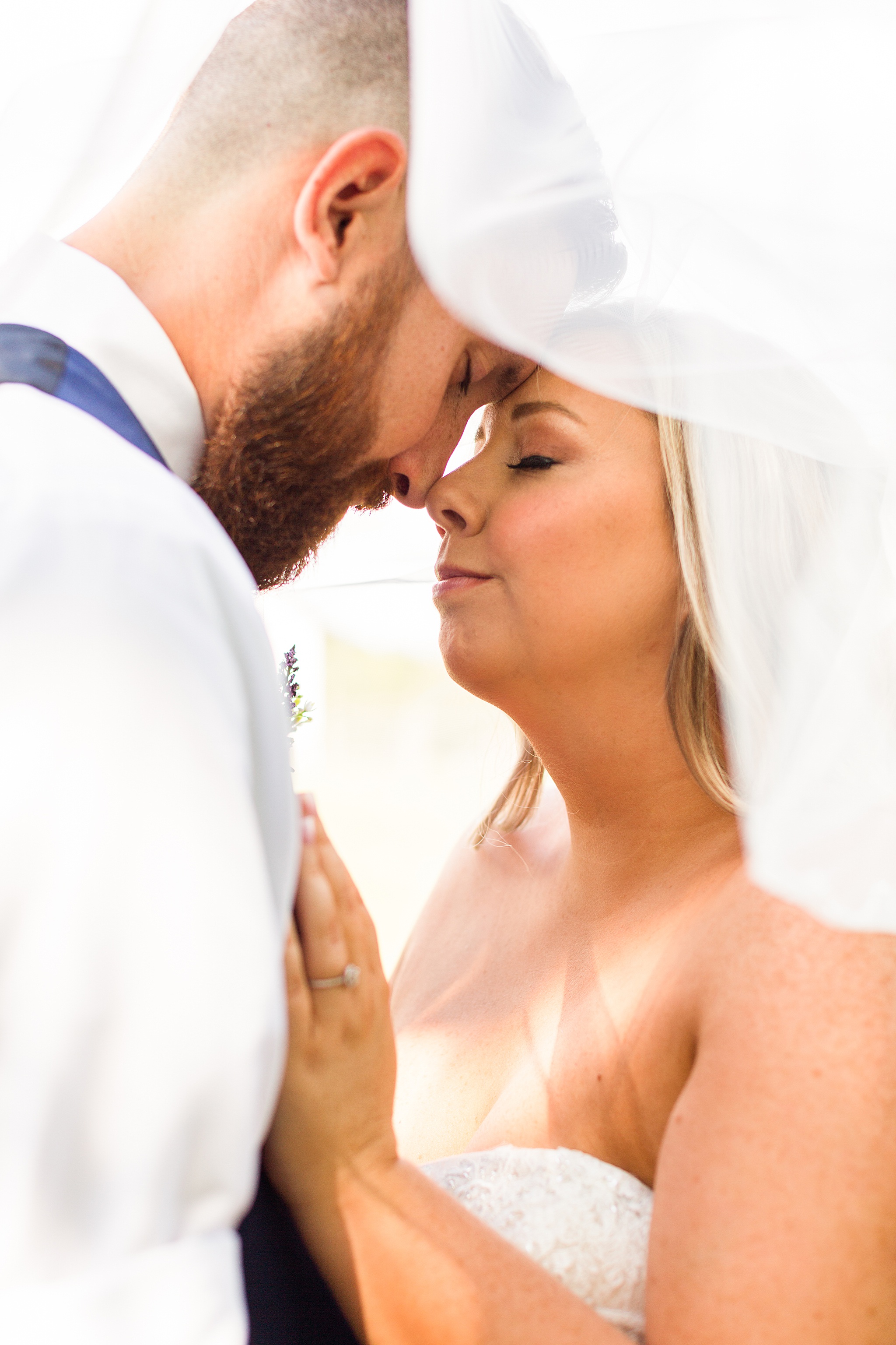 Alexandra Mandato Photography photographs bride and groom under veil