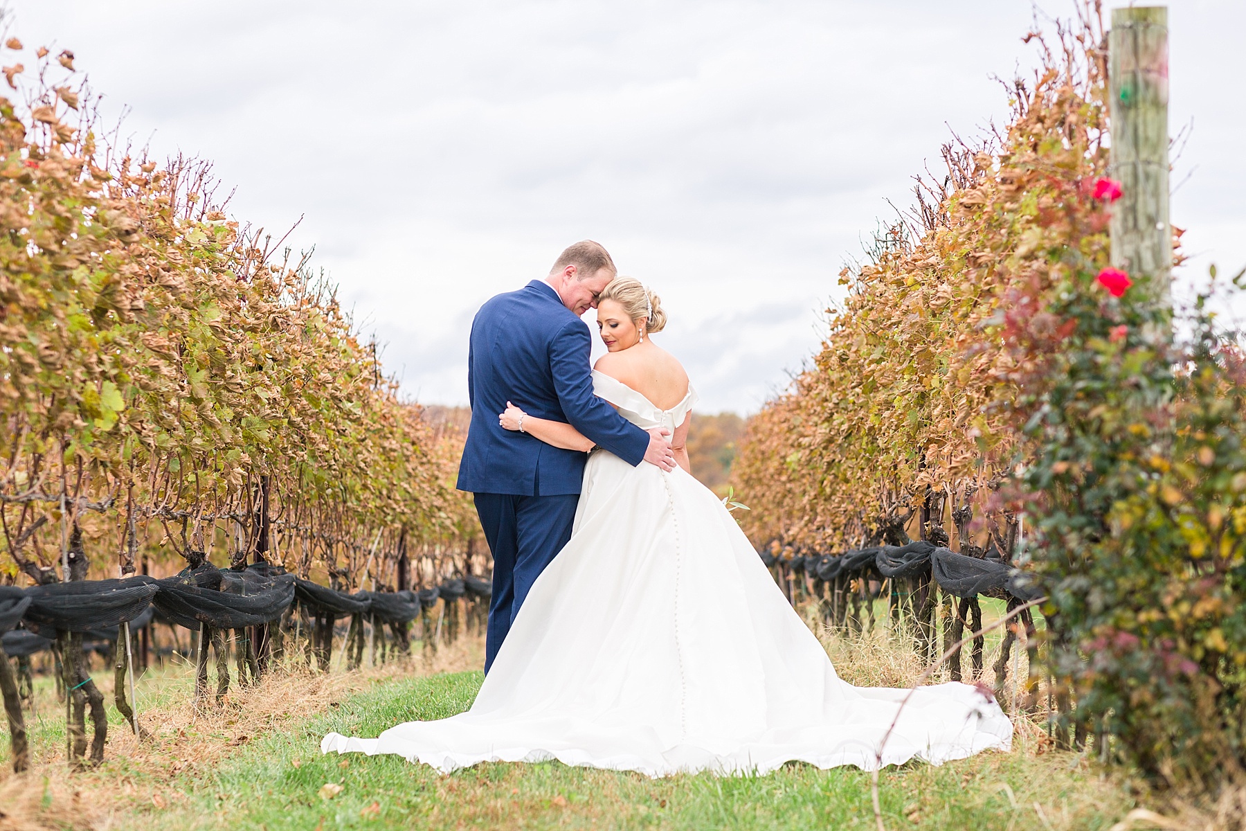 vineyard wedding portraits by  Alexandra Mandato Photography