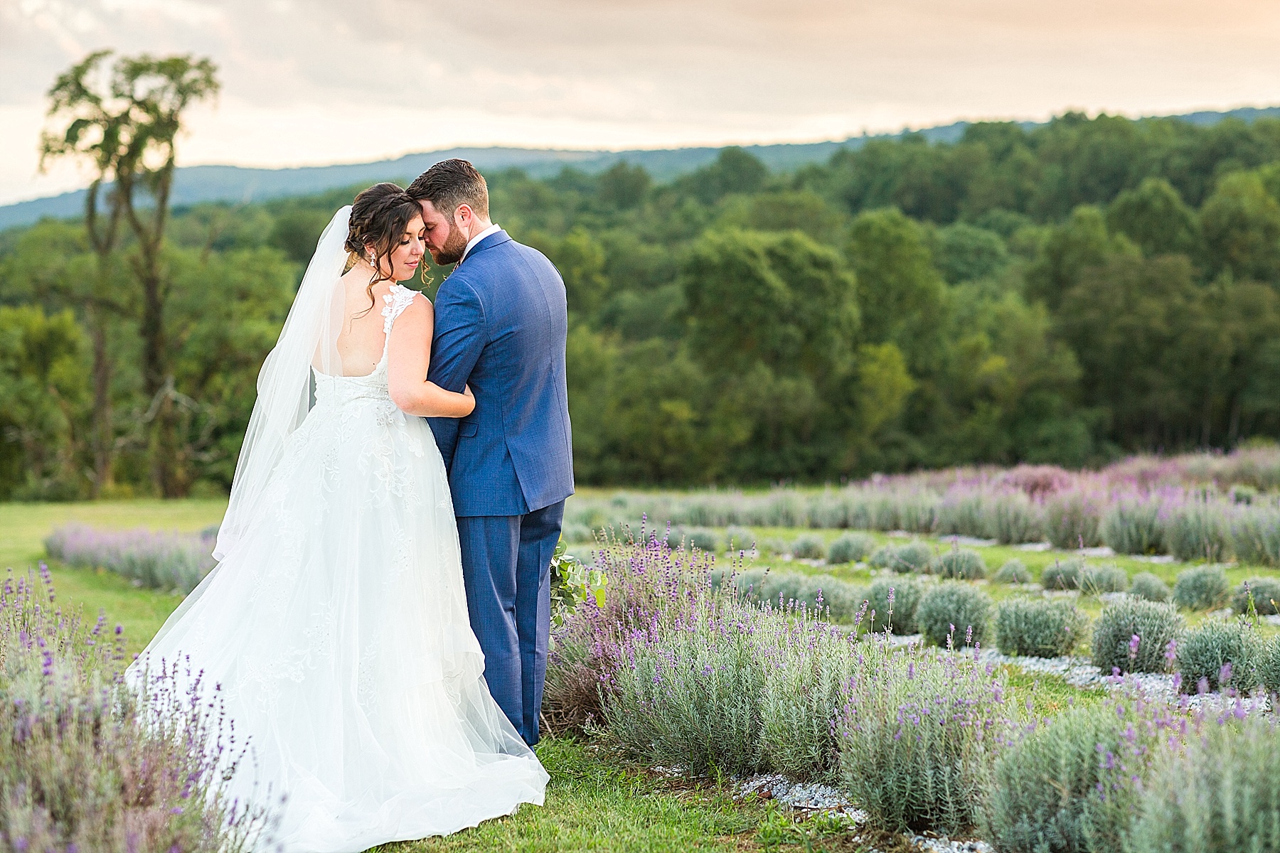 wedding photos in fields at Springfield Manor with Alexandra Mandato Photography