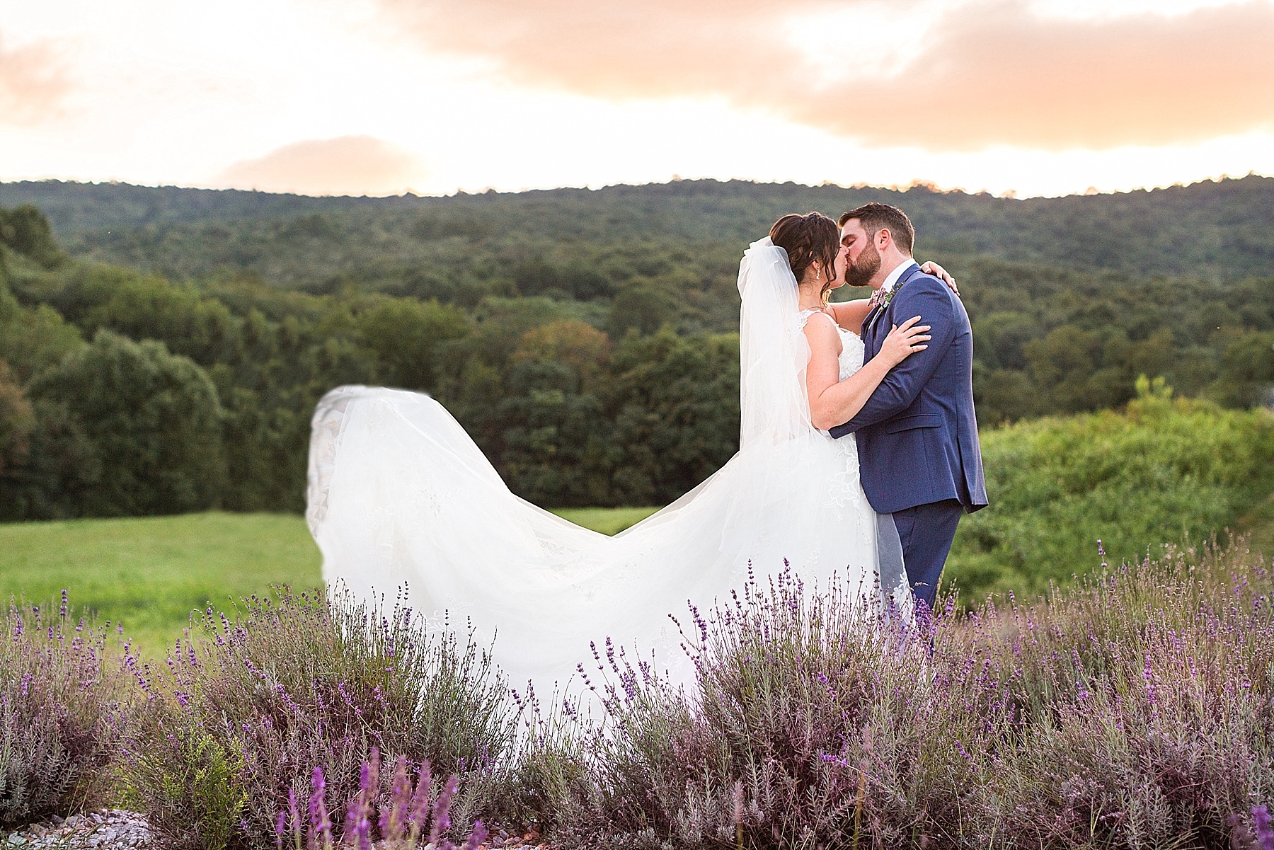 lavender field wedding photos by Alexandra Mandato Photography